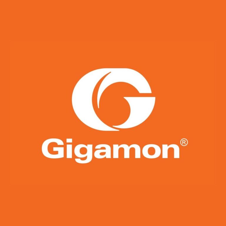 gigamon